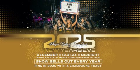 New Year's Eve Party Rosemont - Near Chicago O'Hare Airport